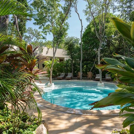 Suites At Treetops טולום מראה חיצוני תמונה