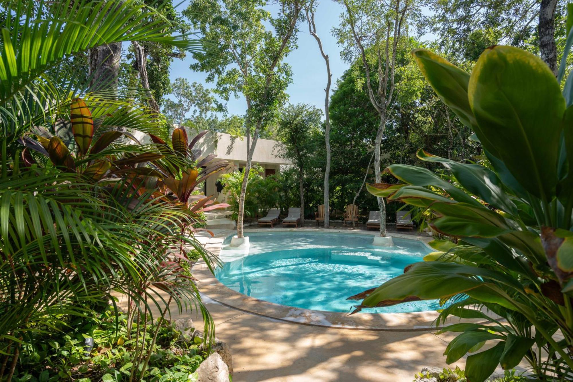 Suites At Treetops טולום מראה חיצוני תמונה